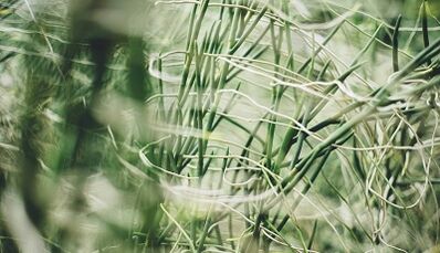 Wéi Dir e Gléck Amulett mat Ären eegenen Hänn mécht