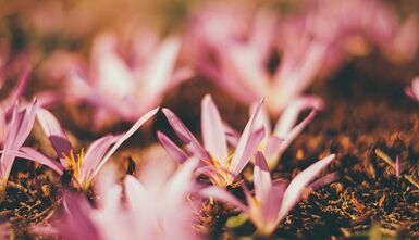 wéi ee Gléck Amulett mat Ären eegenen Hänn mécht